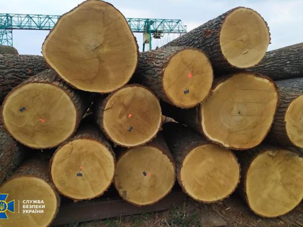 Новина СБУ ліквідувала схему незаконного експорту державного лісу через підсанкційні компанії Фірташа Ранкове місто. Кропивницький