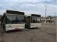 Жителі Новоолексіївки добилися від місцевої влади вдосконалення розкладу руху автобусу №104-а