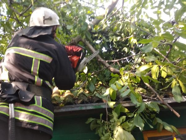 Новина Кіровоградська область: Рятувальники чотири рази прибирали аварійні дерева Ранкове місто. Кропивницький