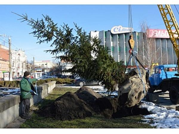 Новина У центрі Кропивницького красуватиметься п'ятиметрова ялинка Ранкове місто. Кропивницький