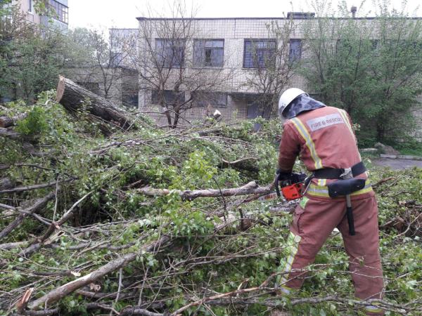 Новина Кіровоградщина: Після буревію рятувальники прибирають дерева з доріг Ранкове місто. Кропивницький