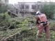 Кіровоградщина: Після буревію рятувальники прибирають дерева з доріг