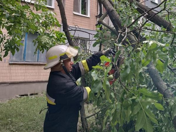 Новина Негода пронеслася Кропивницьким, повалявши чимало дерев Ранкове місто. Кропивницький