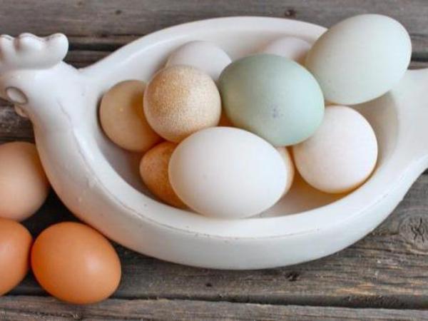 Новина Дефіцитні яйця: коли стабілізуються ціни Ранкове місто. Кропивницький