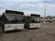 У Кропивницькому відновили рух автобуси за маршрутом №104А