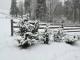 Чи випаде сьогодні сніг у Кропивницькому?