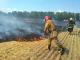 На Кіровоградщині сталося вісім пожеж стерні та сміття (ФОТО)