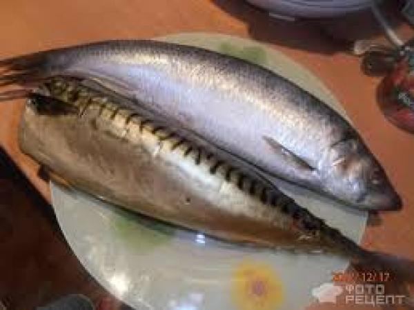 Новина Кропивницький: У супермаркеті виявили прострочену рибу Ранкове місто. Кропивницький