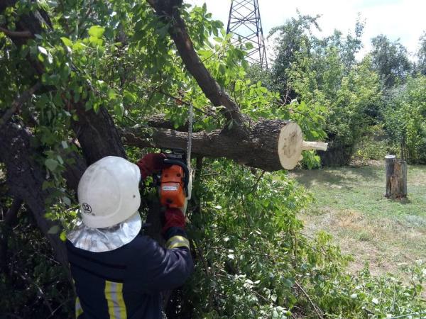 Новина На Кіровоградщині рятувальники прибирають аварійні дерева Ранкове місто. Кропивницький