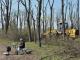 Кропивницький: Проти підприємства «Єлизавета» порушена кримінальна справа за вирубку дерев