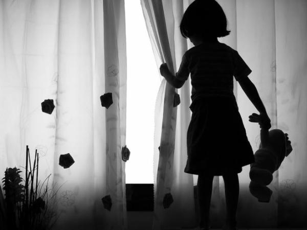Новина На Кіровоградщині стався жахливий злочин - згвалтування дитини Ранкове місто. Кропивницький