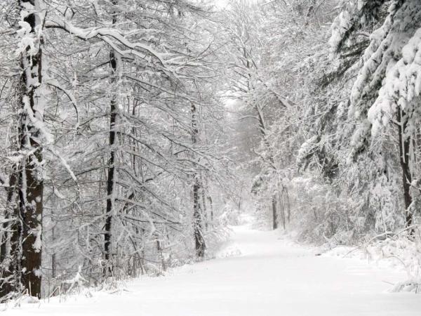 Новина Чи довго пролежить перший сніг у Кропивницькому? Ранкове місто. Кропивницький