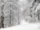 Чи довго пролежить перший сніг у Кропивницькому?