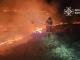 Кіровоградська область: рятувальниками ліквідовано 11 пожеж сухої рослинності та сміття на відкритих територіях
