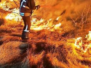 Новина Кіровоградська область: рятувальники загасили 5 пожеж на відкритих територіях Ранкове місто. Кропивницький