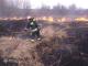 За добу, що минула, на території Кіровоградщини загасили 18 пожеж в екосистемі