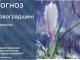 Прогноз погоди на 20 березня по Кіровоградщині