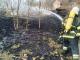 Кіровоградщина: за добу рятувальники ліквідували 6 пожеж на відкритих територіях