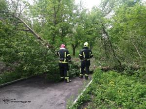 Новина На Кіровоградщині рятувальники 5 разів надавали допомогу населенню з прибирання аварійних дерев та гілок Ранкове місто. Кропивницький