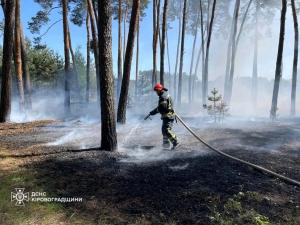 Новина На Кіровоградщині рятувальники загасили чотири пожежі в екосистемі Ранкове місто. Кропивницький
