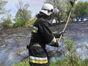 Новина Кіровоградська область: минулої доби рятувальники загасили 6 пожеж сухої трави Ранкове місто. Кропивницький