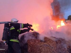 Новина Олександрійський район: ліквідовано одну пожежу на відкритій місцевості Ранкове місто. Кропивницький
